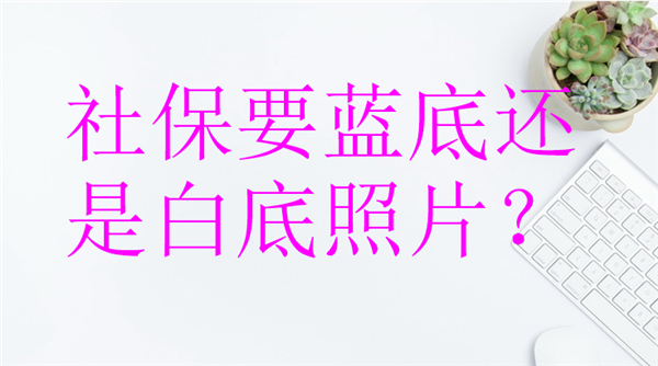 社保要蓝底还是白底照片