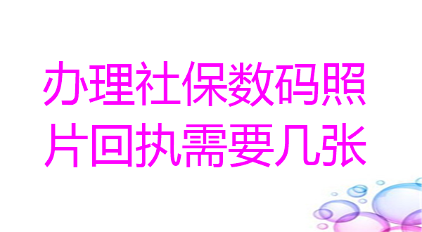 办理社保数码照片回执需要几张
