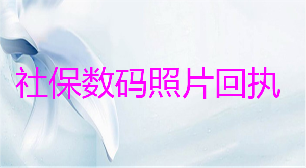 社保数码照片回执