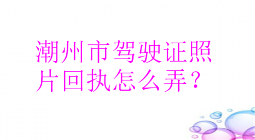 潮州市驾驶证照片回执怎么弄