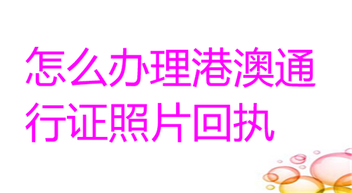 怎么办理港澳通行证照片回执？