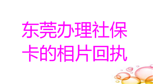 东莞办理社保卡的相片回执