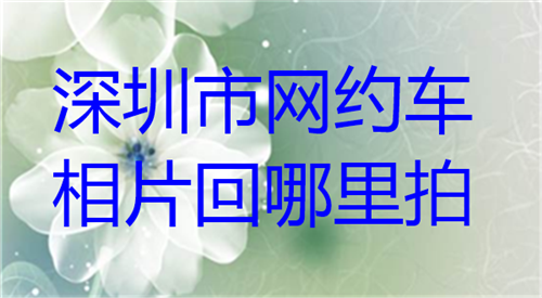 深圳市网约车相片回执哪里拍
