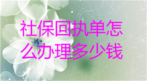 社保回执单怎么办理多少钱
