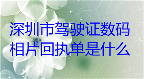 深圳市驾驶证数码相片回执单是什么