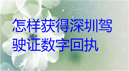 怎样获得深圳驾驶证数字回执