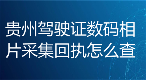 贵州驾驶证数码相片采集回执怎么查