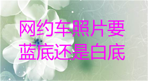 网约车照片要蓝底还是白底