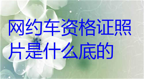 网约车资格证照片是什么底的