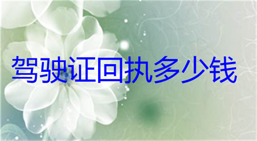 驾驶证回执多少钱