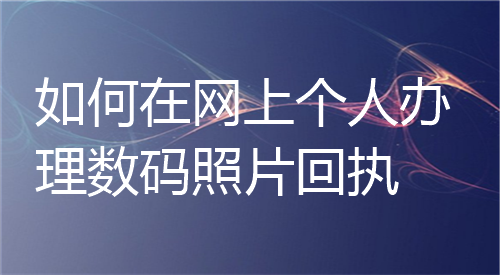 如何在网上个人办理数码照片回执？
