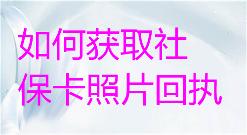 如何获取社保卡照片回执？
