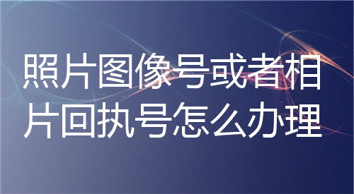 照片图像号回执相片回执号怎么办理