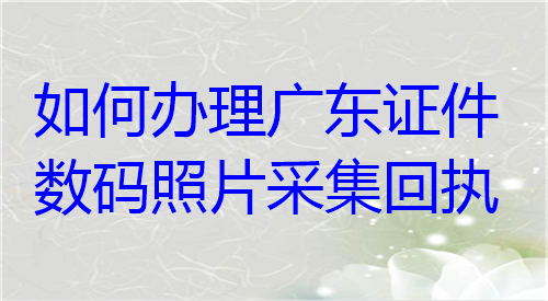 如何办理广州证件照片采集回执
