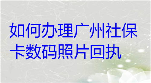 如何办理广州社保卡数码照片回执