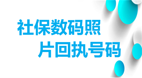 社保数码照片回执号码