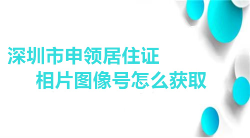 深圳市申领居住证相片图像号怎么获取