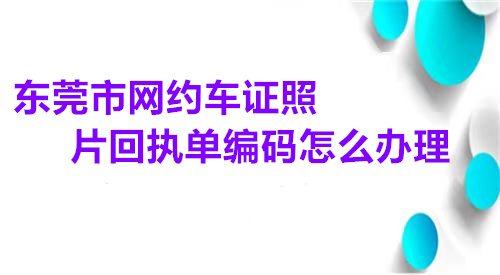 东莞市网约车证照片回执单编码怎么办理