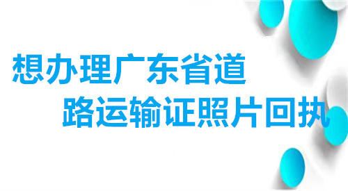 想办理广东省道路运输证照片回执