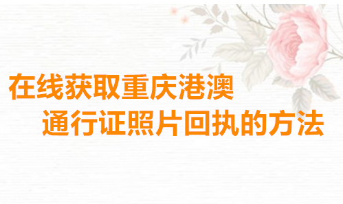 在线获取重庆港澳通行证照片回执的方法