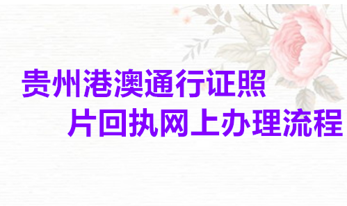 贵州港澳通行证照片回执网上办理流程