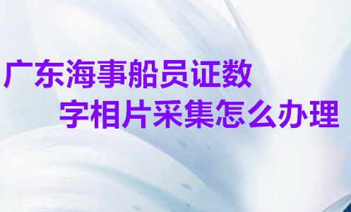 广东海员证/海事船员证数字相片采集回执怎么办理