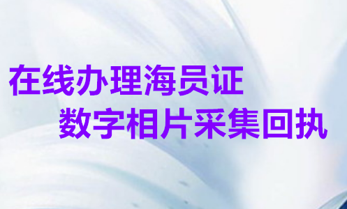 在线办理海员证数字相片采集回执