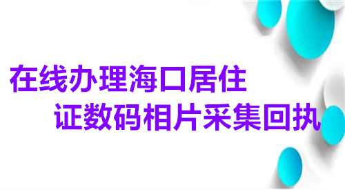 在线办理海口市居住证数码相片采集回执