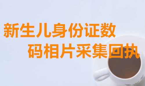 新生儿身份证数码相片采集回执
