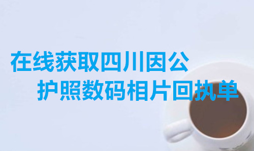 在线获取四川因公护照数码相片回执单