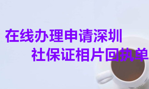 在线办理申请数字社保证相片回执单