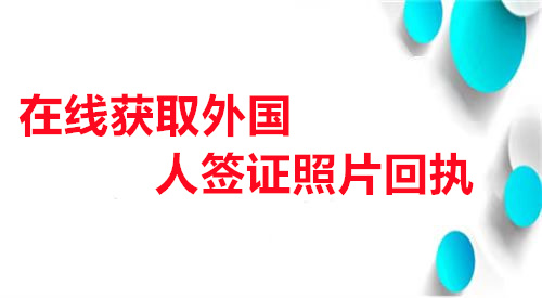 在线获取外国人签证照片回执