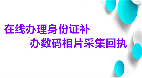 在线办理身份证补办数码相片采集回执