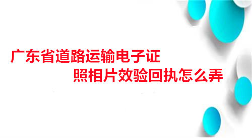 广东省道路运输电子证照相片效验回执怎么弄
