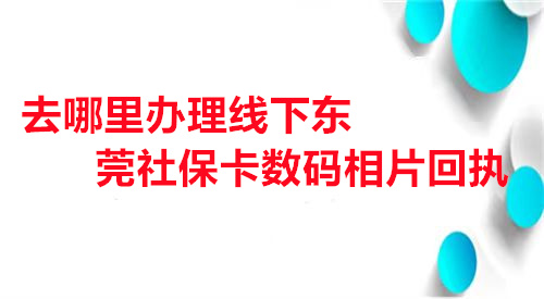 去哪里办理线下东莞社保卡数码相片回执？