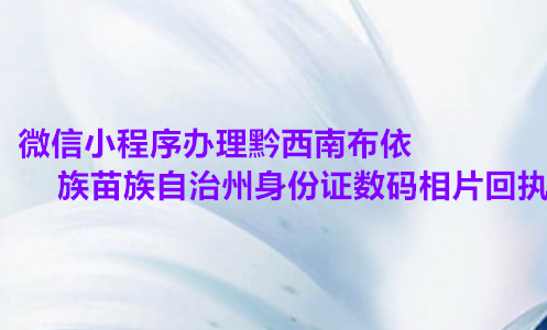 微信小程序办理黔西南布依族苗族自治州身份证数码相片回执