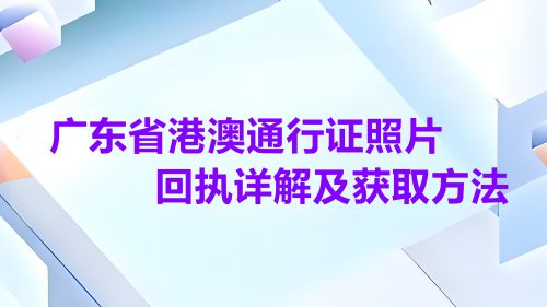 广东省港澳通行证照片回执详解及获取方法